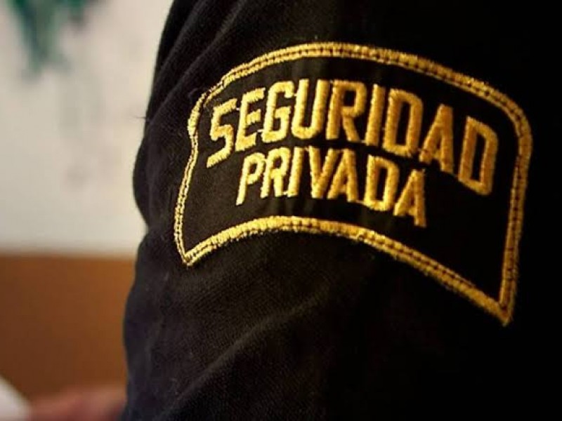 Ley de seguridad privada busca transparentar este servicio