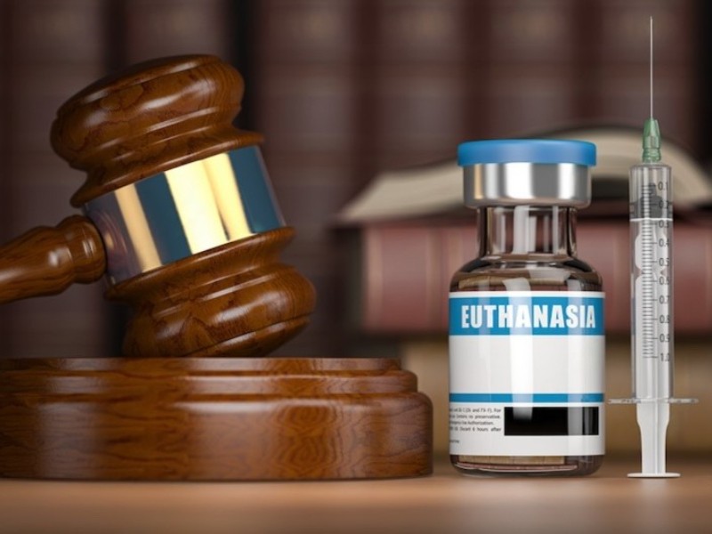 Ley Trasciende: Entre la compasión y la falta de atención médica