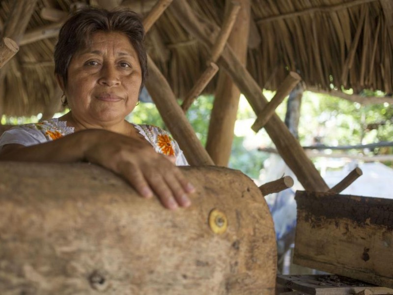 Leydy Pech, mexicana le gana la batalla a Monsanto