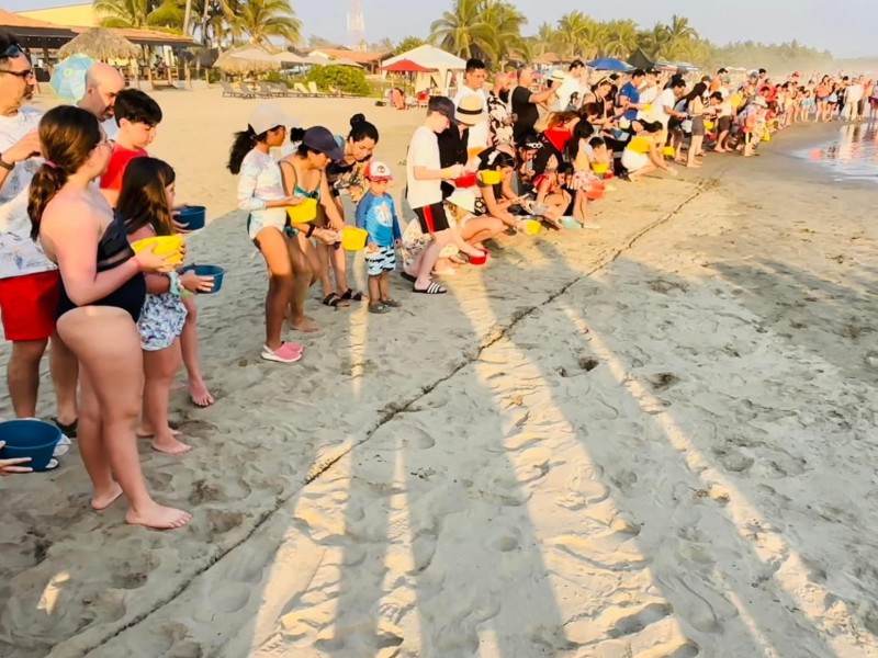 Liberación de tortugas, ritual obligado para turistas en Troncones