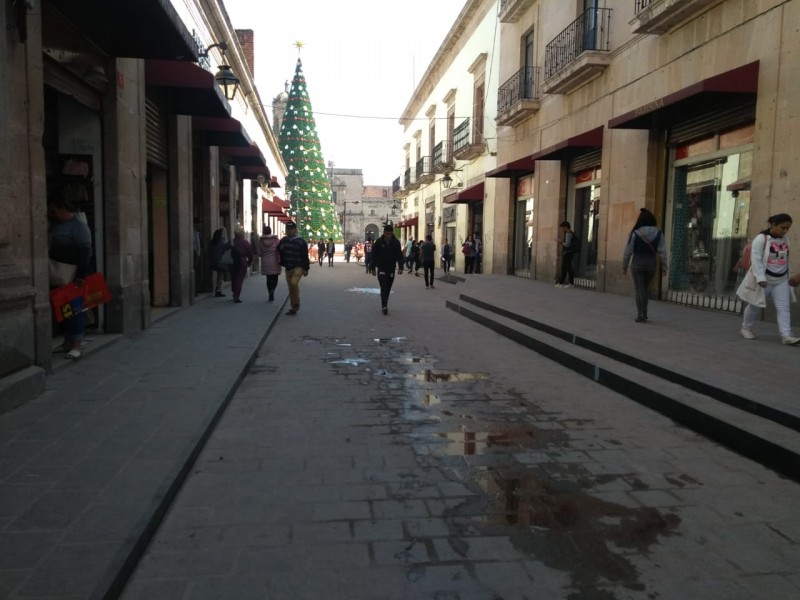 Libre de ambulantes centro Histórico de Morelia