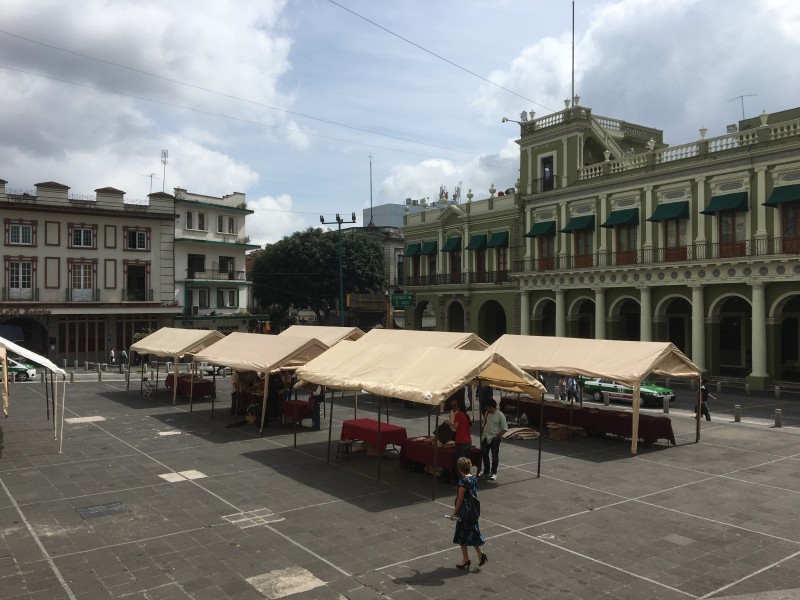 Libreros se instalan en Plaza Lerdo