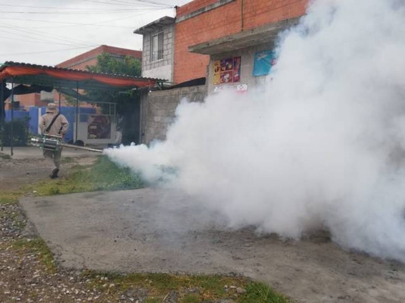 Lidera Oaxaca en decesos por dengue; acumula seis