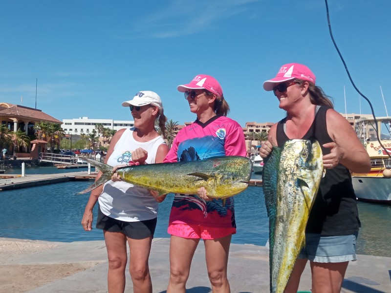 L.I.F.T Llegan mujeres con sus dorados a pesaje