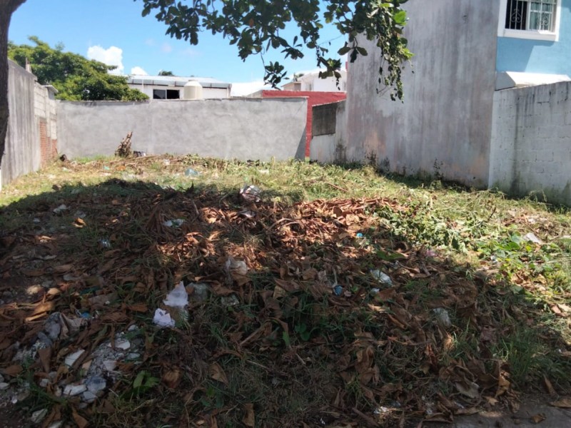 Limpia ayuntamiento de Boca del Río terreno en malas condiciones