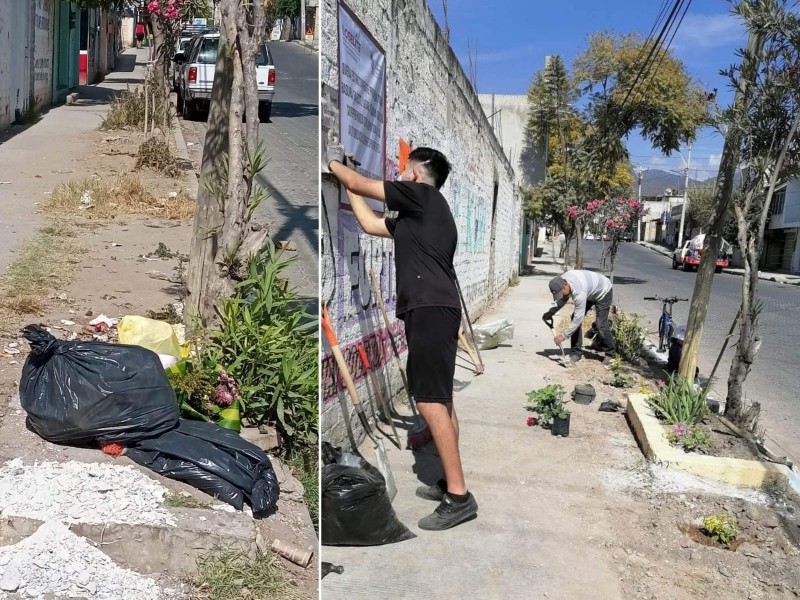 Limpian acumulación de basura, en su lugar reforestan para concientizar