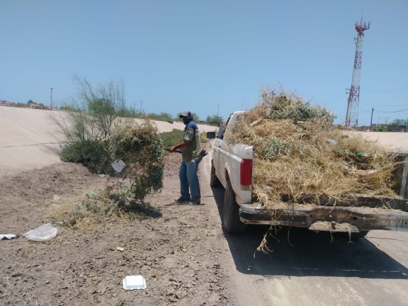 Limpian canales y arroyos en Empalme