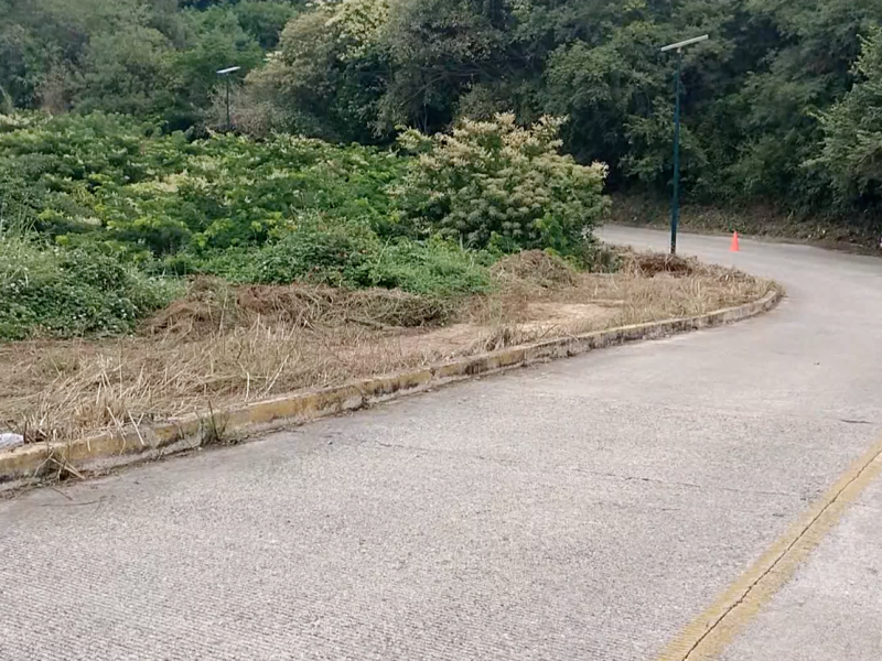 Limpian maleza en Majahua, Riscalillo y Aeropuerto