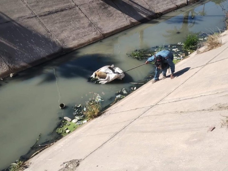 Limpian red hidráulica, buscan evitar inundaciones por taponamientos