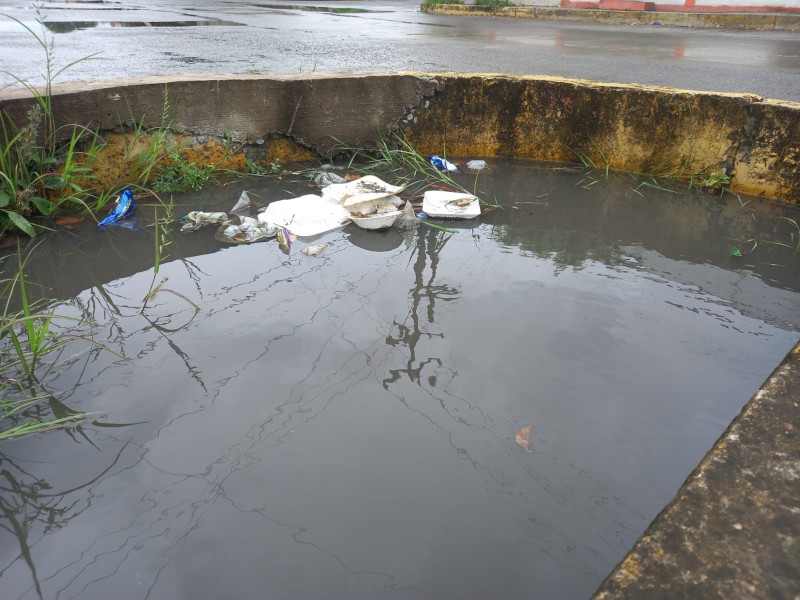 Limpian y desazolvan para evitar inundaciones