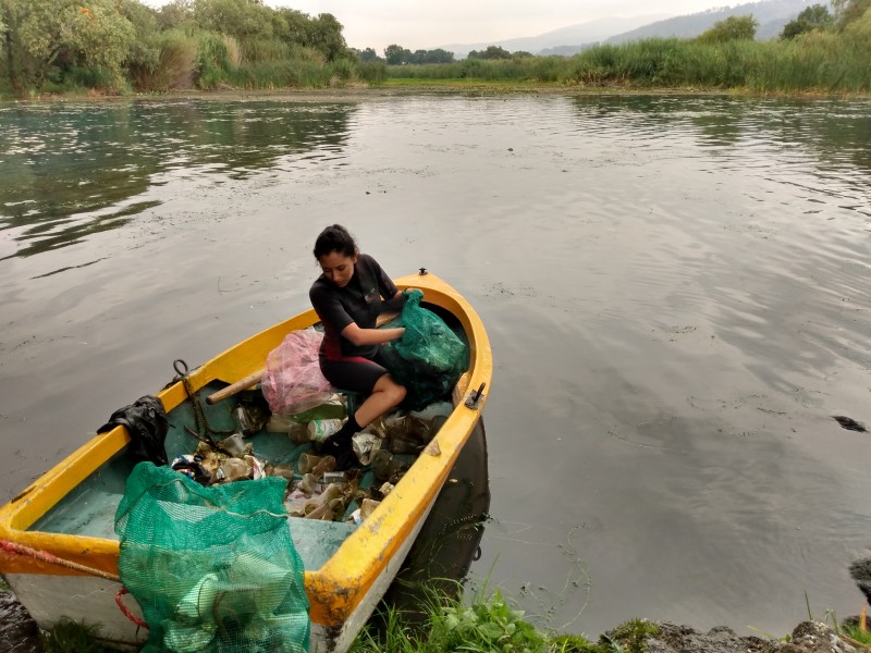 Limpian y reforestan la Minzita