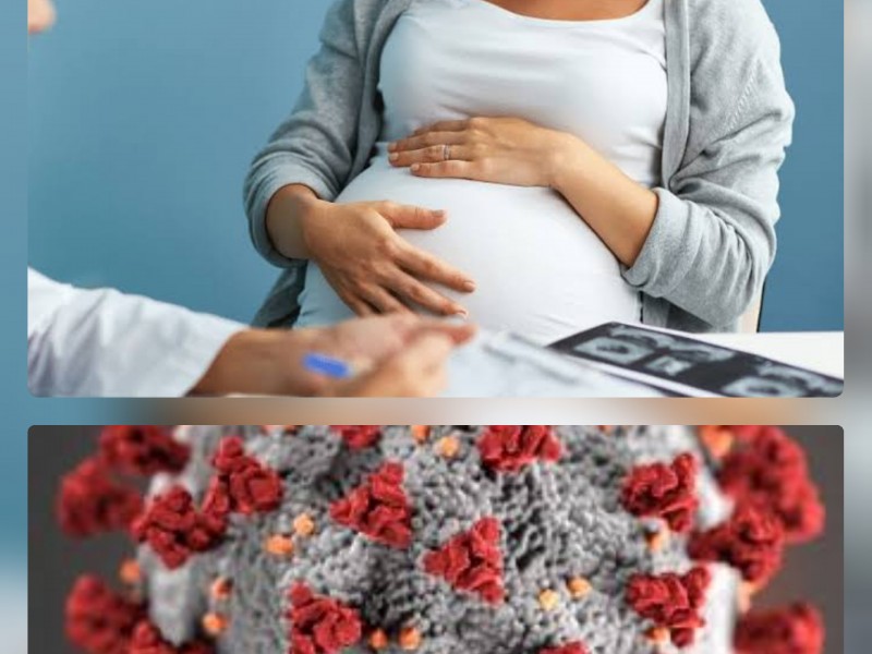 Lineamientos para la atención de mujeres embarazadas durante pandemia: Covid-19