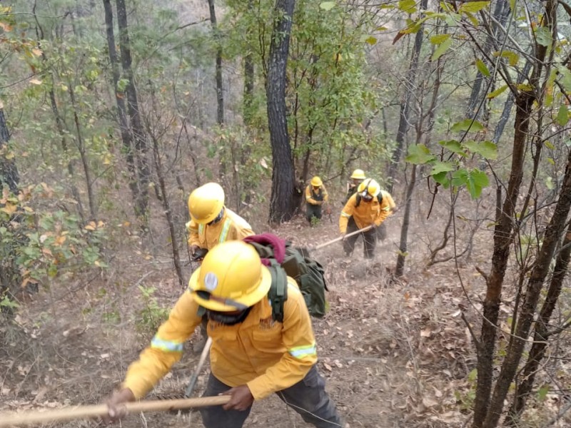 Liquida COESFO incendio forestal en Asunción Mixtepec