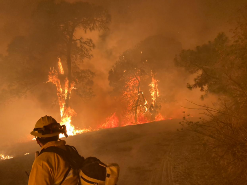 Liquidan incendio en paraje Las Tortugas de Bosque La Primavera.