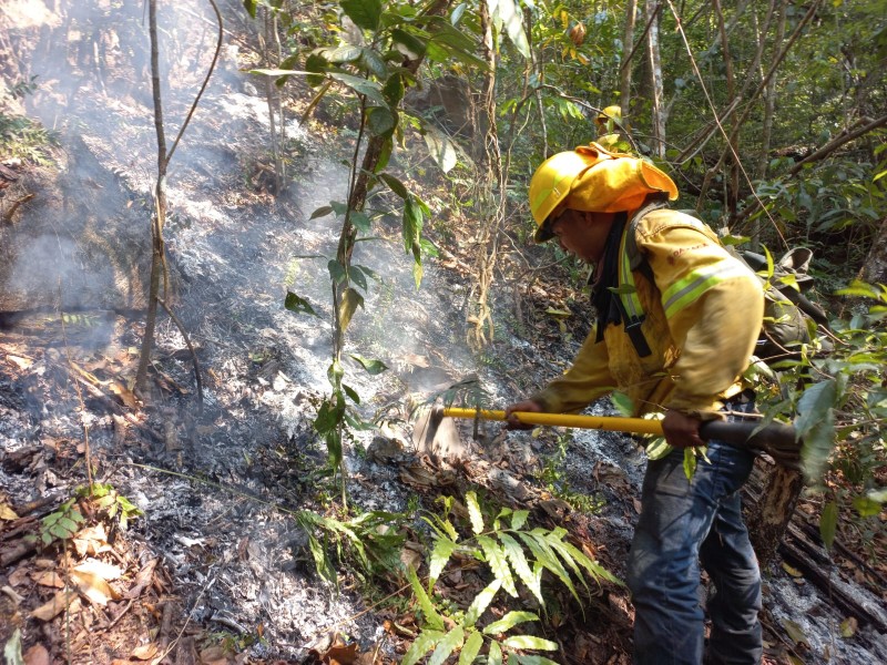 Liquidados cuatro incendios forestales en la Sierra Juárez y Mixteca