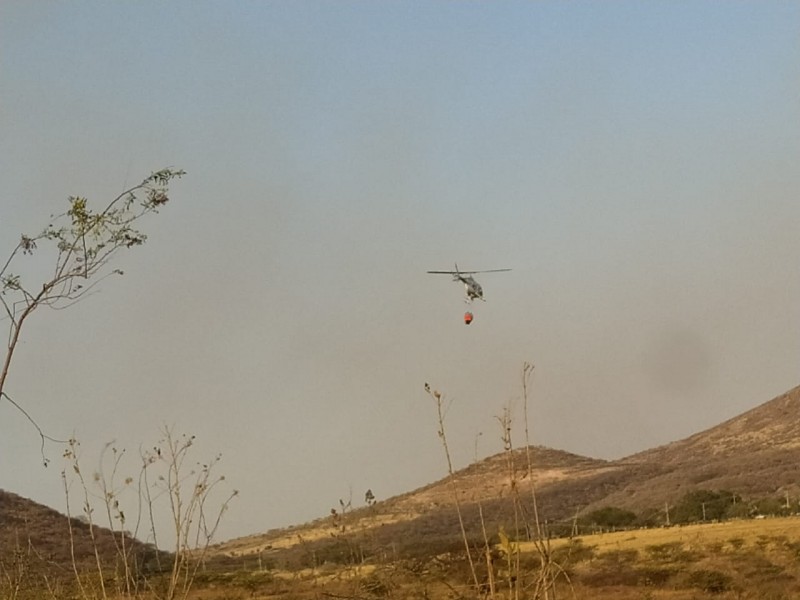 Líquidan incendio en cerro de Totoltepec