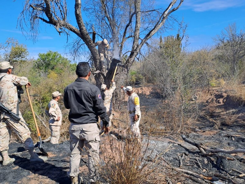 Liquidan incendio forestal en el Quiriego