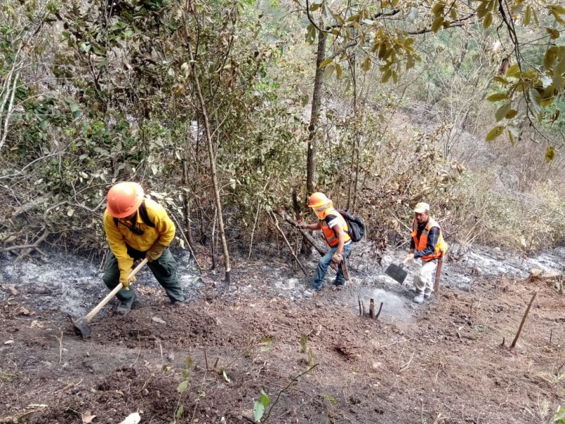 Liquidan incendio forestal en Maltrata