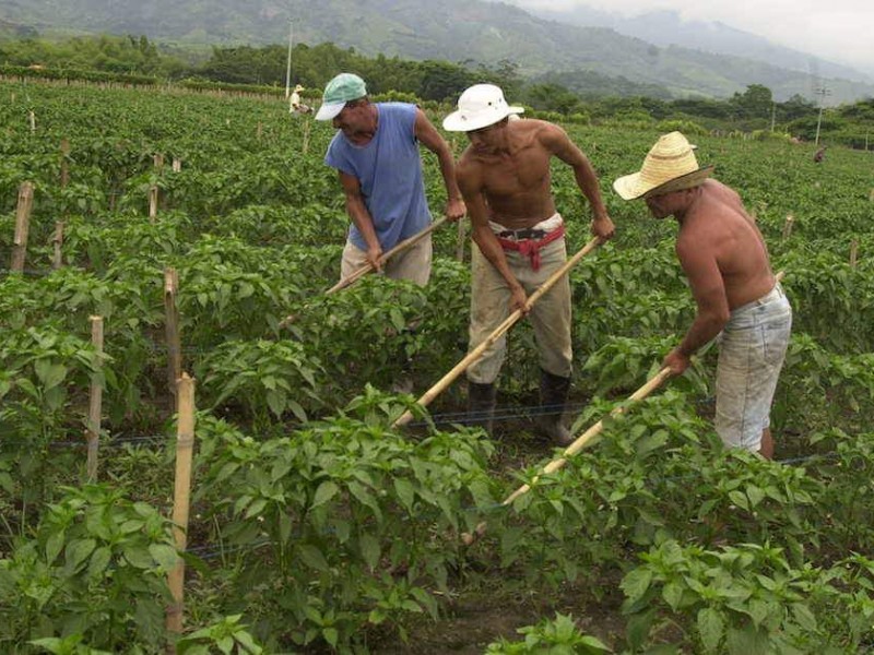 Listas de empleos temporales a un 60%