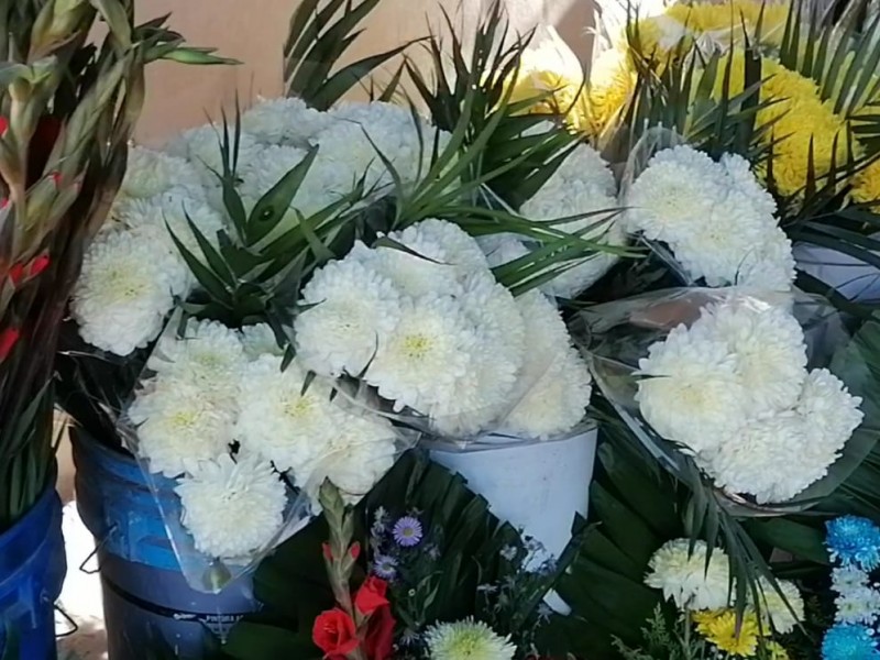 Listas las flores para este día de muertos en Cajeme