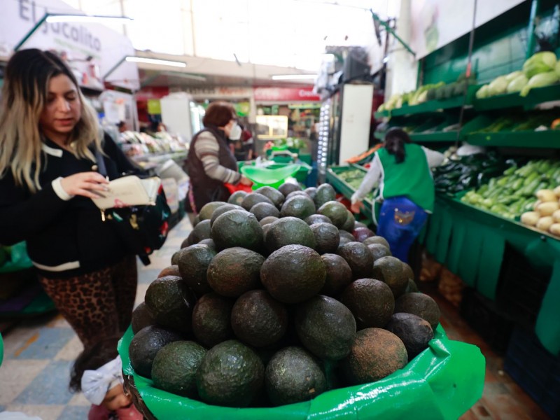 Listo aguacate mexiquense, para consumo durante el Super Bowl