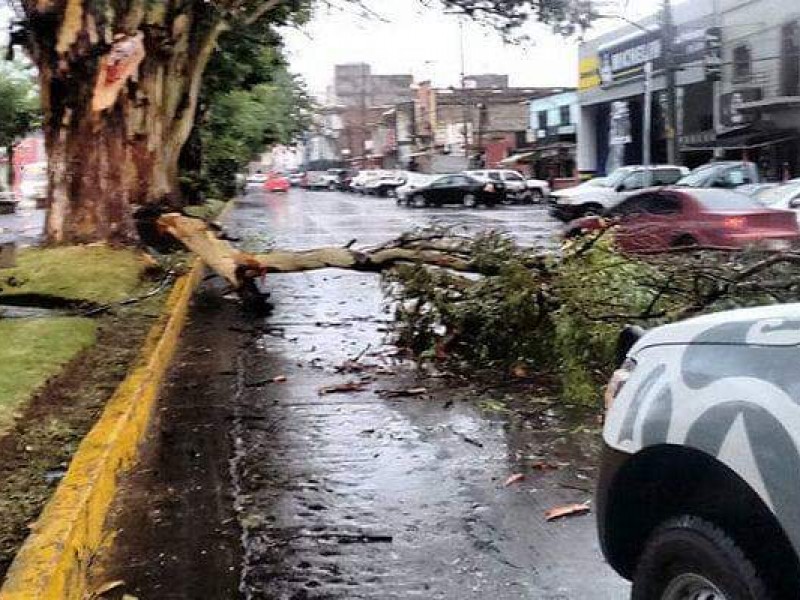 Listo operativo y albergue ante temporada de lluvias en Zamora