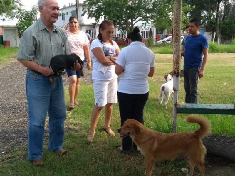 Listos módulos de vacunación antirrábica canina y felina en Tuxpan