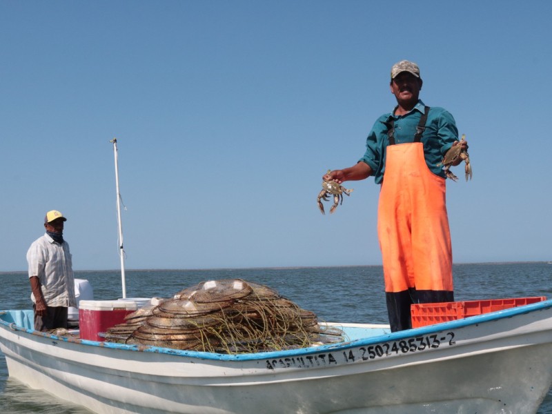 Listos para captura de jaiba, reactivará 3 mil pescadores en Ahome