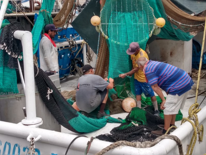 Listos pescadores de alta mar para temporada camaronera