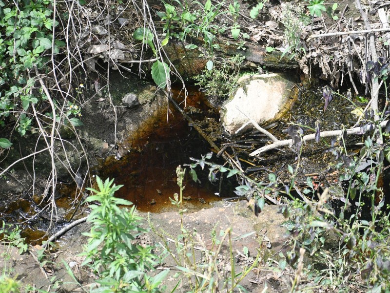 Lixiviados del relleno sanitario acaban con parcela y manantiales en Xalapa