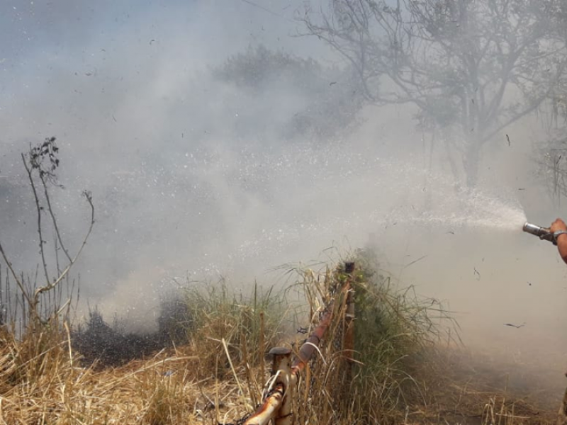 Llama a la población a evitar incendios en lotes baldíos