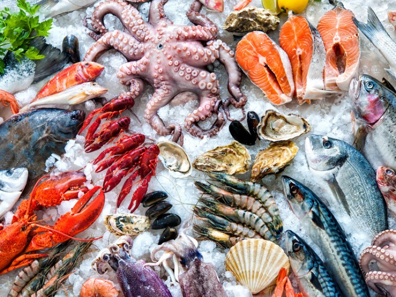 Llama Secretaría de Salud no consumir pescados y mariscos crudos
