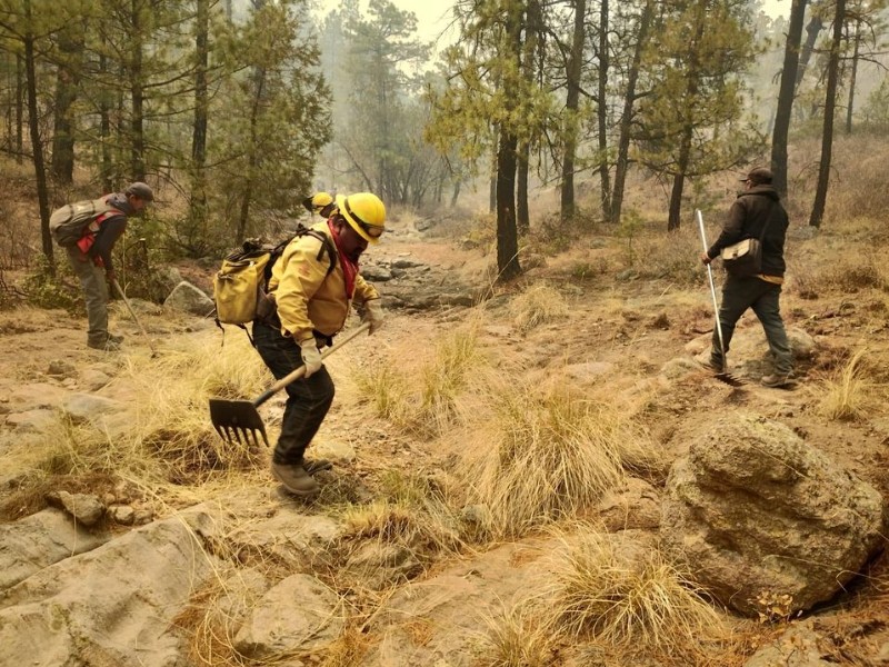 Llama SEDEA a reforzar medidas para evitar incendios forestales por estiaje