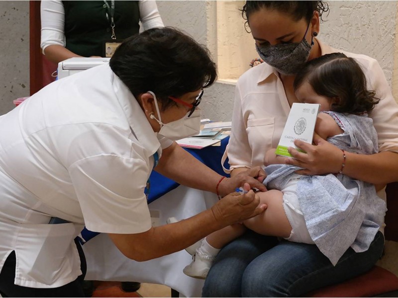 Llaman a aplicarse la vacuna contra la influenza