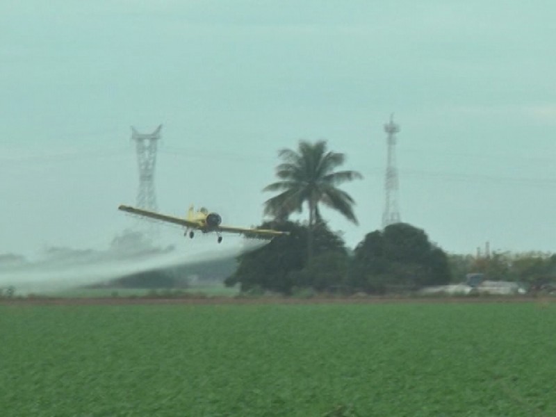 Llaman a evitar aplicaciones de herbicidas vía aérea