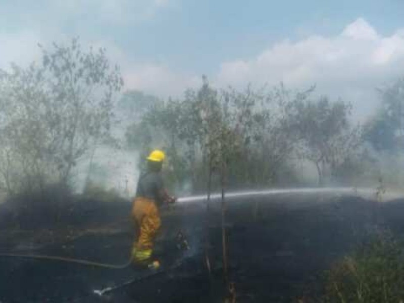 Llaman a evitar quemas en el Soconusco