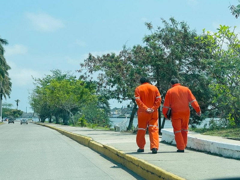 Llaman a la inversión privada a considerar a Tuxpan