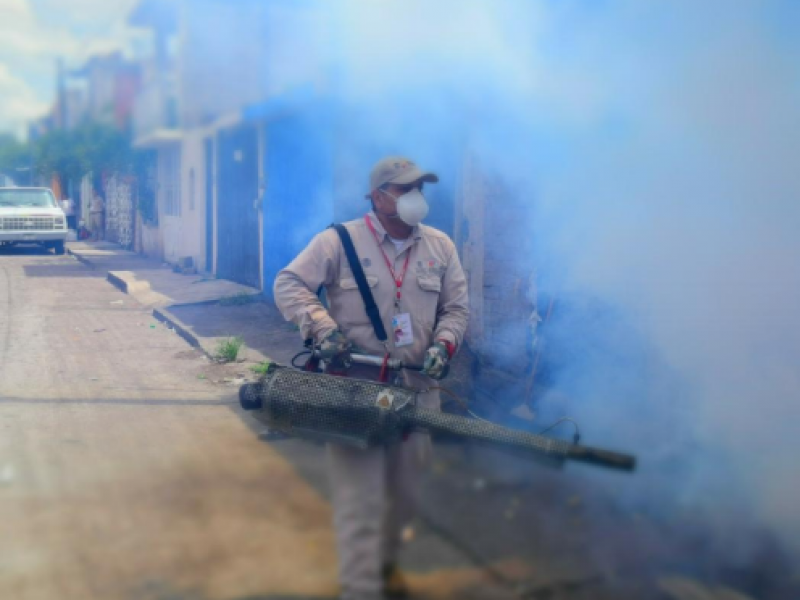 Llaman a no bajar la guardia contra el dengue