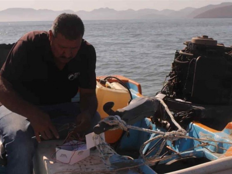 Llaman a pescadores a mantener activo el GPS