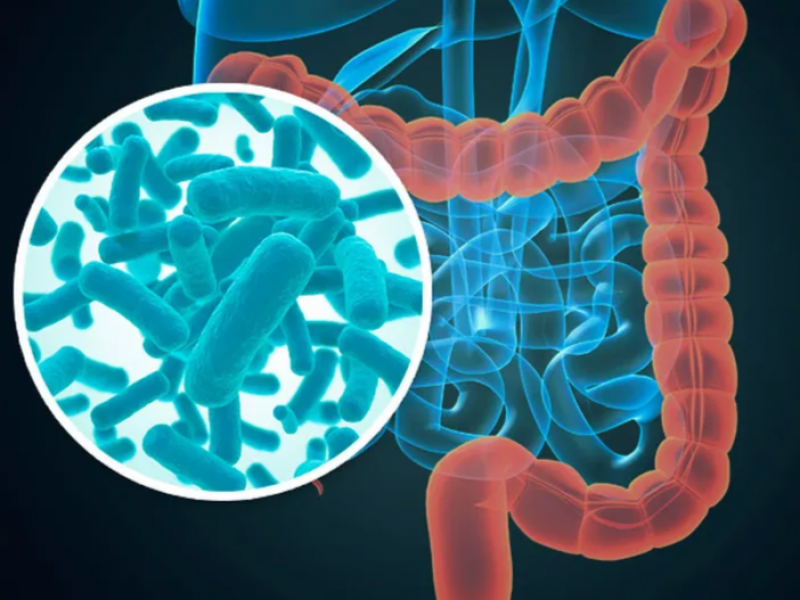 Llaman a prevenir enfermedades gastrointestinales