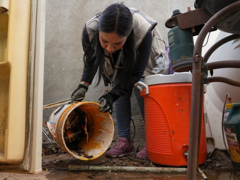 Llaman a reforzar prevención contra el dengue ante bajas temperaturas