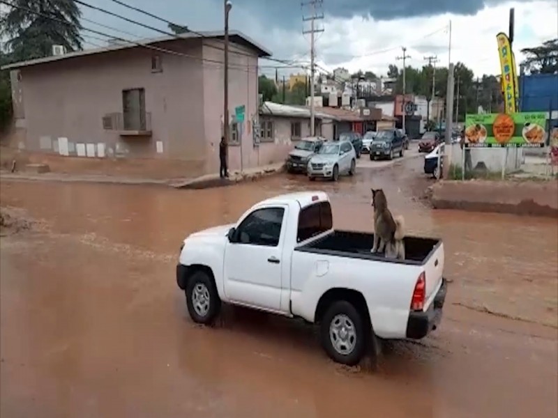 Llaman a tener precaución en arroyos por lluvias