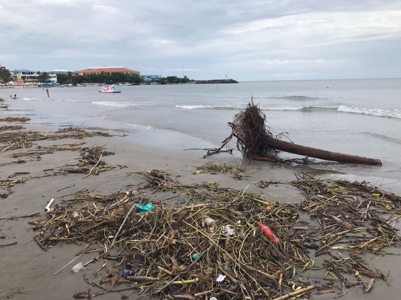 Llega a playas de Veracruz palizada por huracán Grace