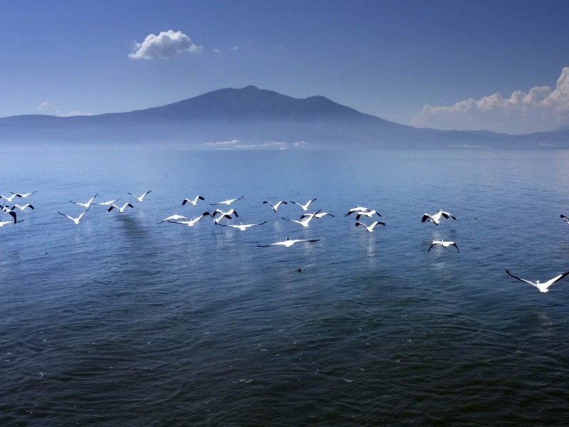Llega Chapala al 74% de su capacidad gracias a las lluvias