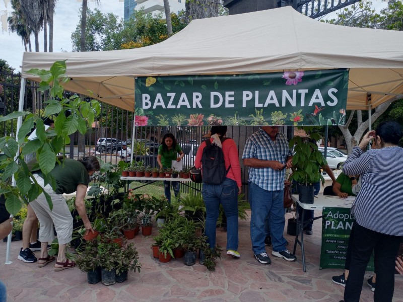 Llega el primer Bazar de Plantas al Parque Sinaloa