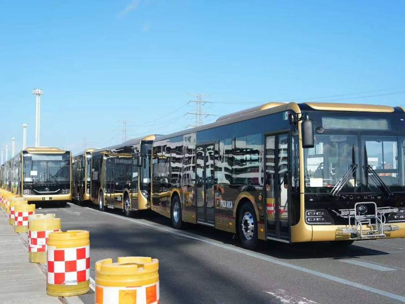 Llegan 60 unidades para modernizar transporte en Xalapa