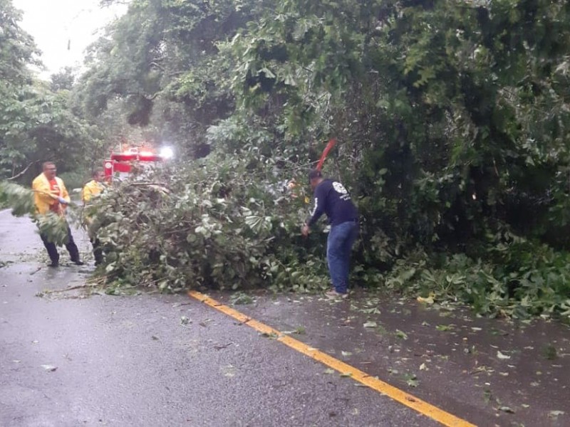 LLegan fuertes ráfagas de viento a Nayarit por 