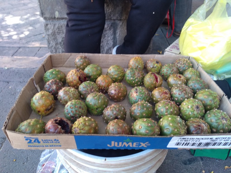 Llegan las primeras pitahayas para su venta en Hermosillo