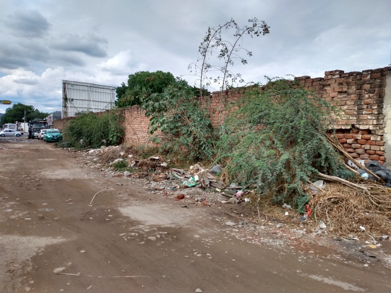 Llegan lluvias y resurgen encharcamientos en calles de León