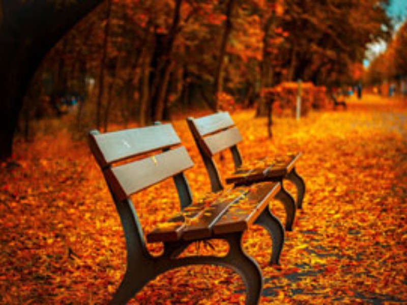 Llegan los días más cortos y las noches más largas: Equinoccio Otoño